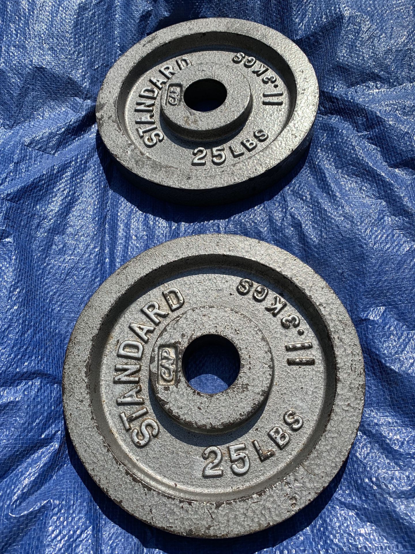 CAP Barbell Olympic 2-Inch Weight Plate, Gray, A pair of 25 pounds