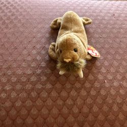 Ty Beanie Baby Paul the Walrus