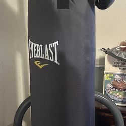 Punching bag