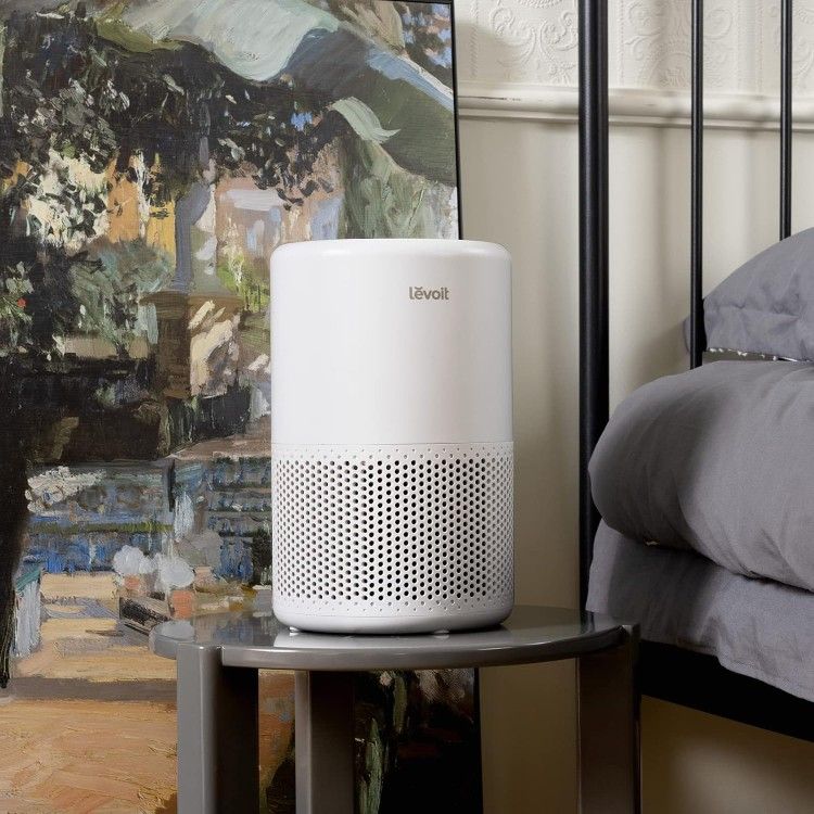 Levoit True HEPA Air Purifier Quiet Air Cleaner/ Home Bedroom Pet Allergies Indoor