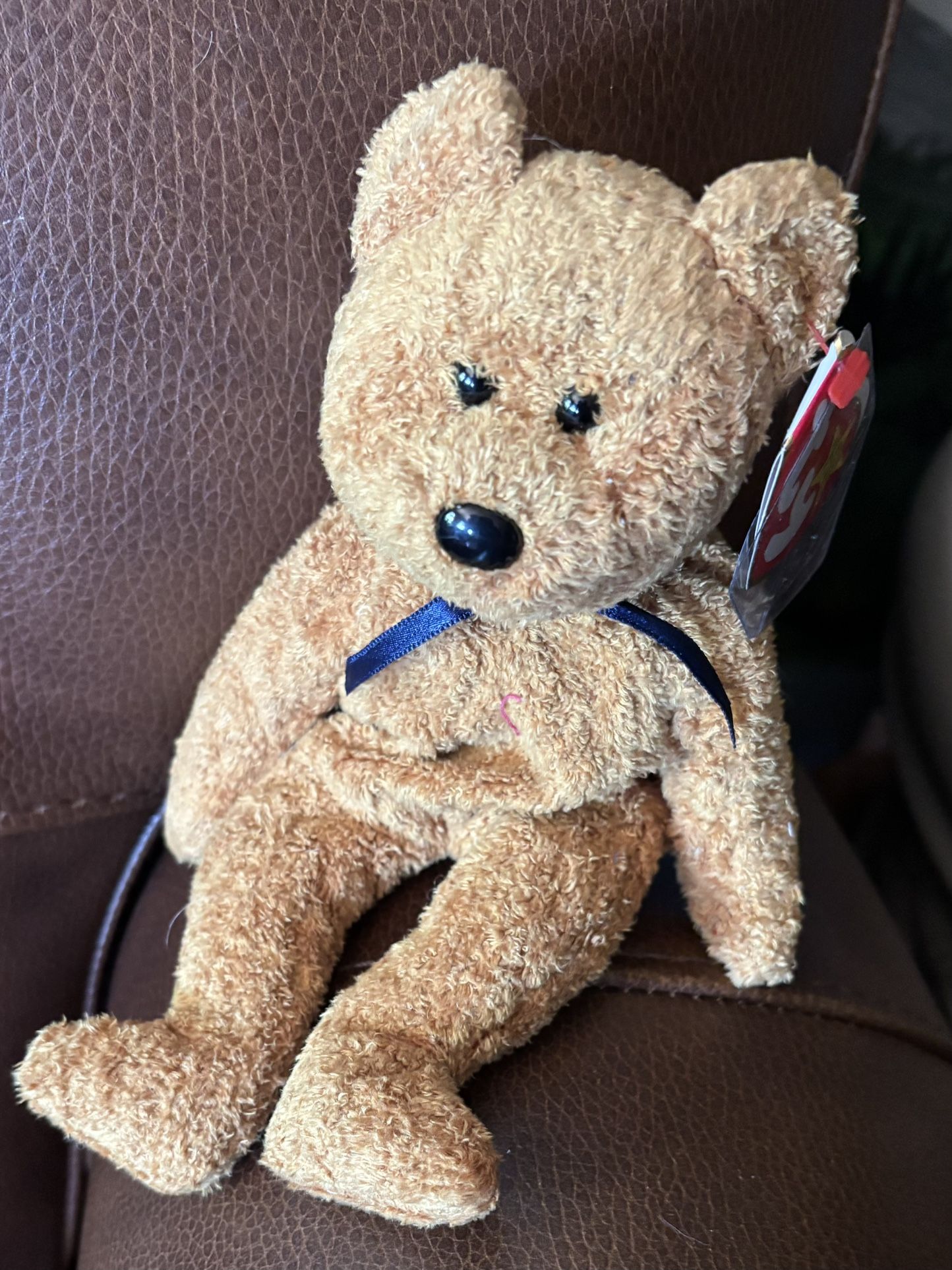 Fuzz Ty Beanie Baby