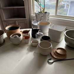 Assortment of Plant Pots 