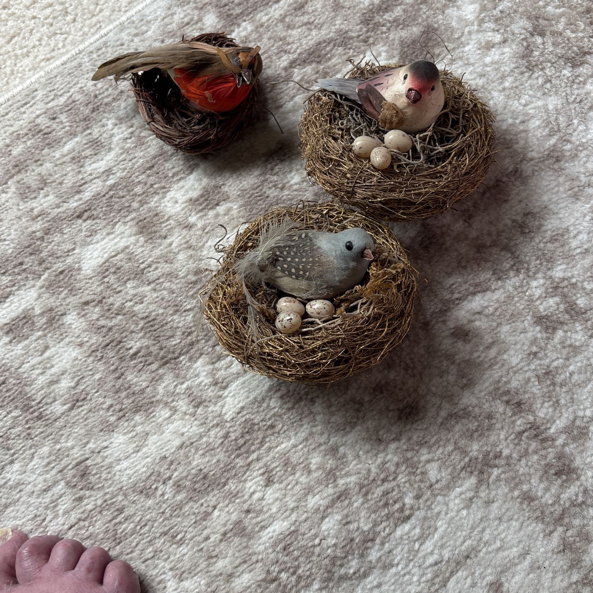 3 Birds W/nests