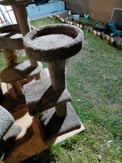 Cat beds