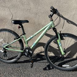 Women’s trek 3900 Mountain Bike