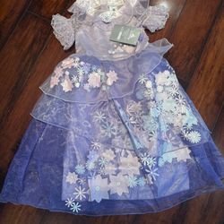 Disney Encanto Isabela costume 5/6
