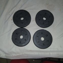 2.5 LBS Small Weight Plates For Barbel