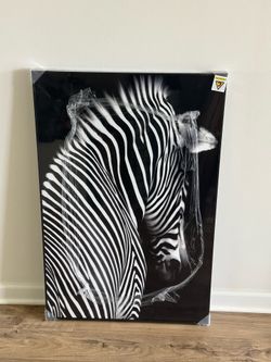 24x36 Framed Zebra Canvas Wall Art, Black & white (Brand New)