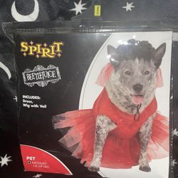 Dog Costume 