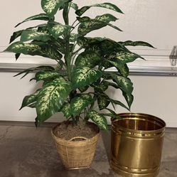 Artificial Silk Plant - 32” Tall With Brass Planter