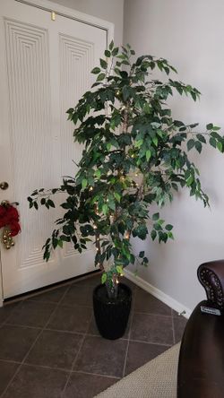 Faux Indoor Decorative House Plant