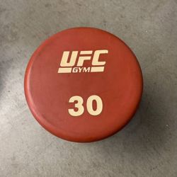 UFC Gym Dumbbell 30lb