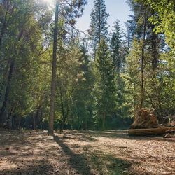 Property For Dale $650000