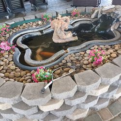 Fish Pond 6'5"X5'x 18"