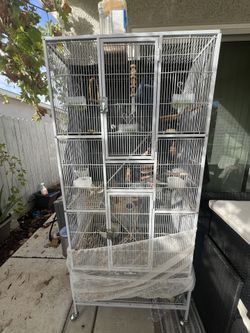 Bird Cage