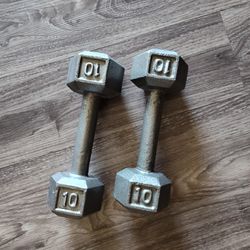 10 Lb Cast Iron Weights Dumbbells 