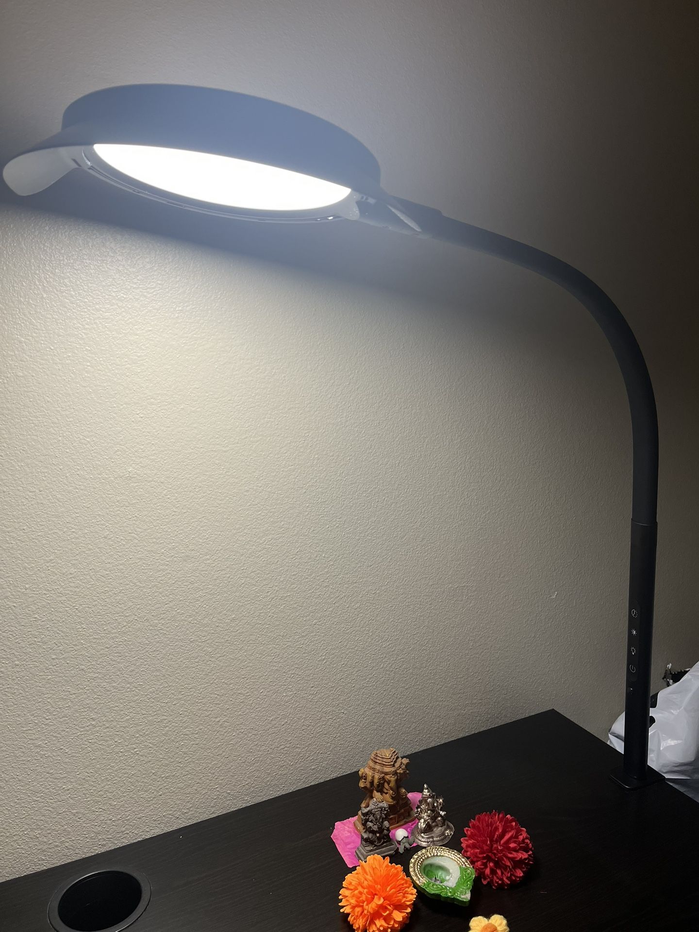 LED Desk Lamp With Clamp