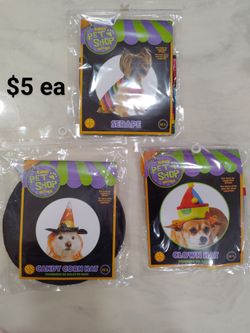 Doggie Toys And Holiday Accessories 🎃🦴🐶
