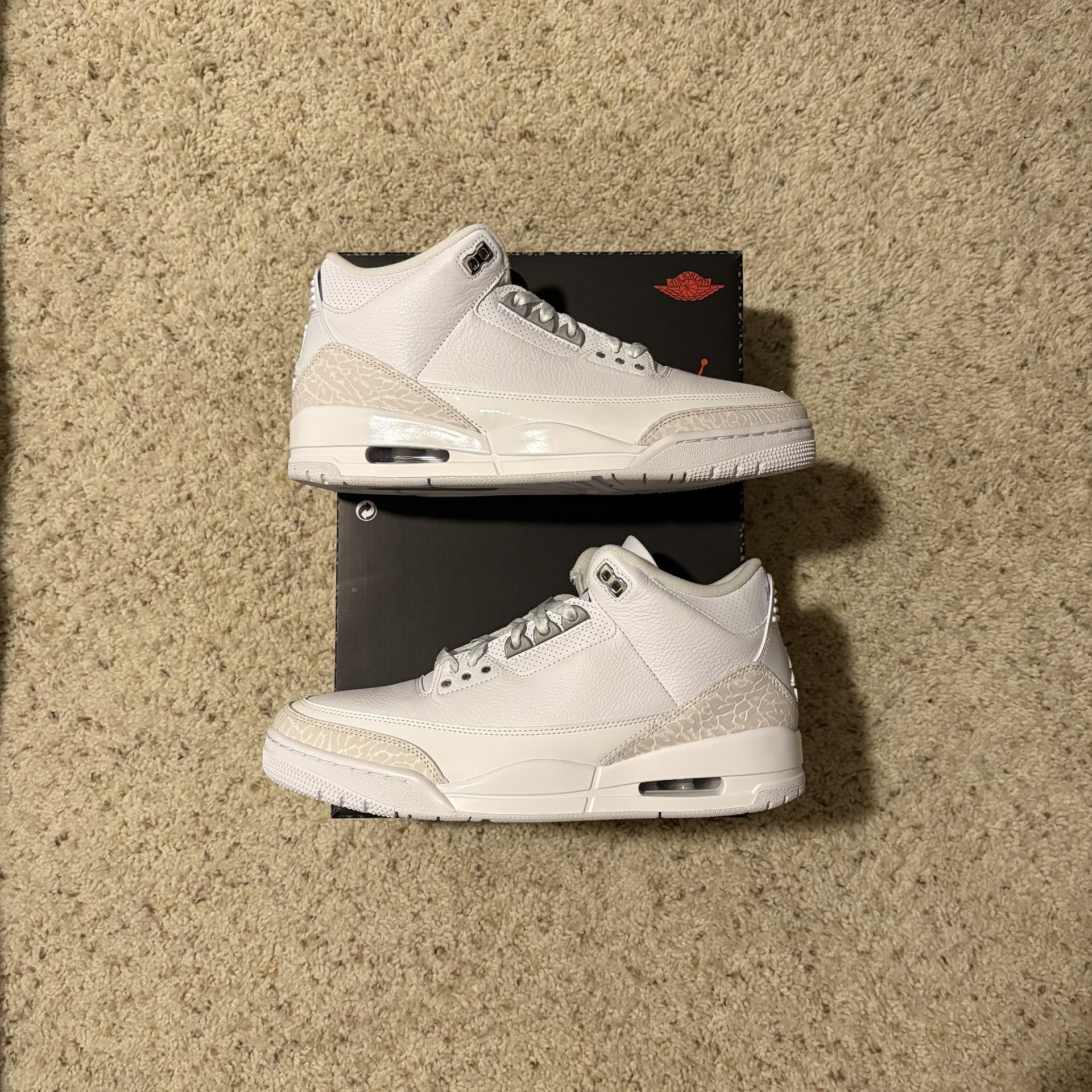 DS Air Jordan 3 Retro Pure Money 10.5