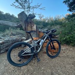 2019 Trek Fuel EX7