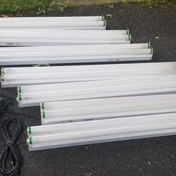 4' Fluorescent Lights/bulbs