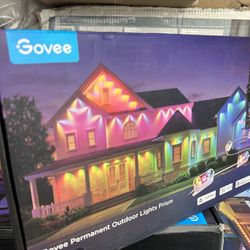 Govee Permanent Lights Prism