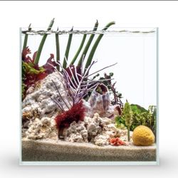 Ultum Nature Systems - 4 Gallons 