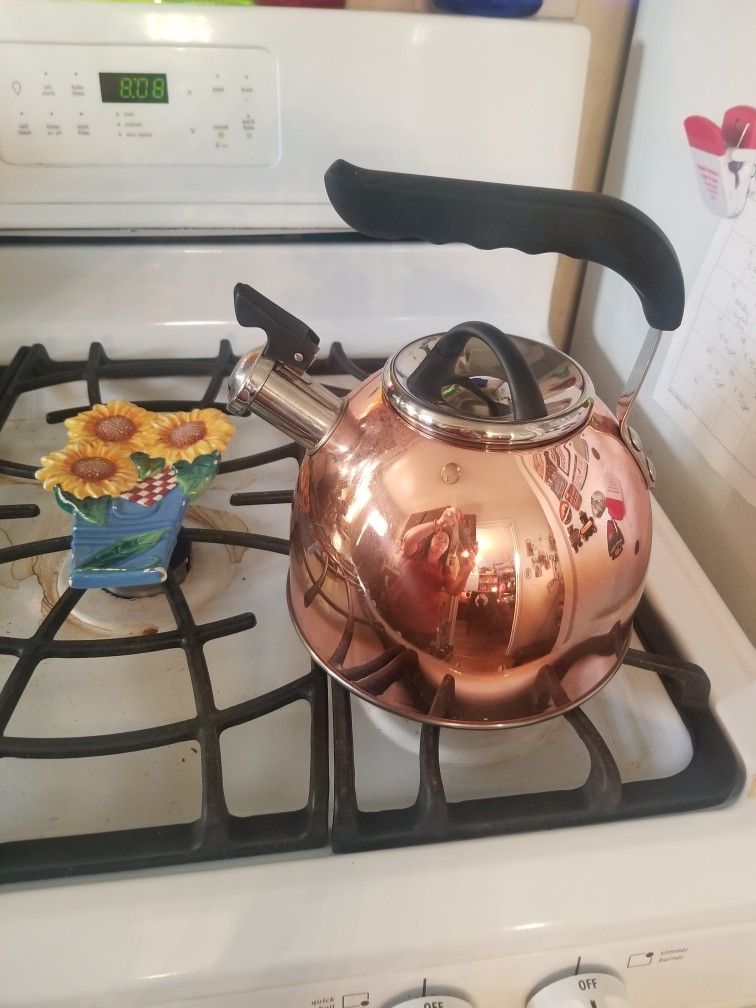BEAUTIFUL COOPER TEA KETTLE 
