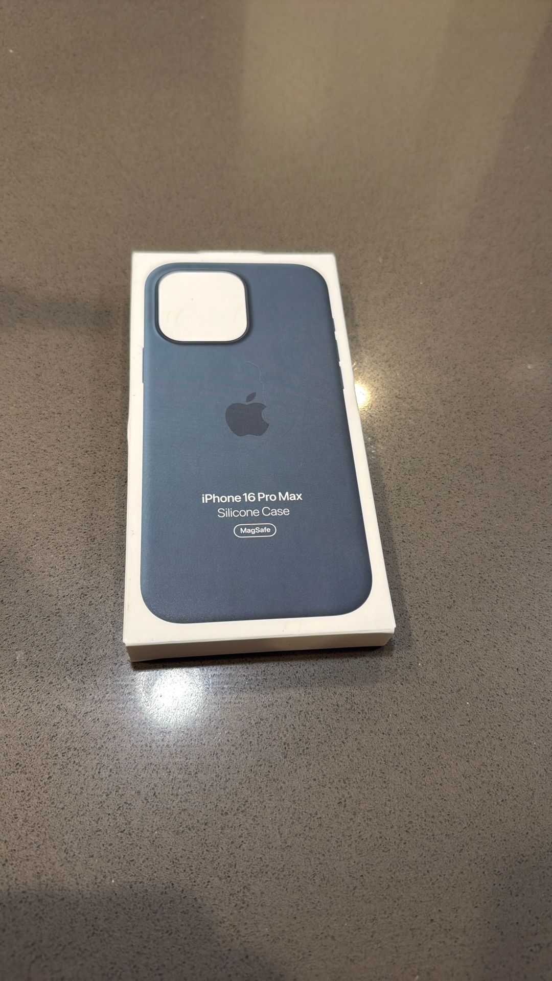 iPhone 16 Pro Max Silicone Case (MagSafe)