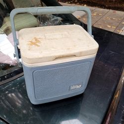 Igloo Mini Cooler