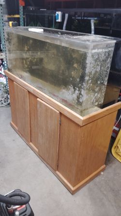 Fish tank