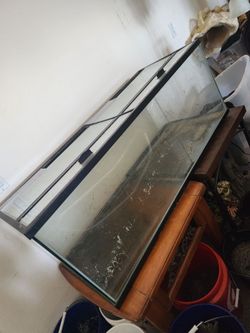 Imagintarium 60 gallon breeder aquarium
