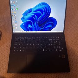 LG GRAM 17in laptop (i7, 16GB memory) 