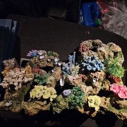 Coral Bubbler 