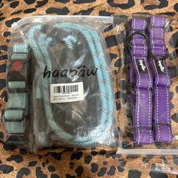 Collar & Leash
