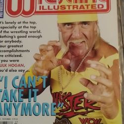 1995 Pro Wrestling