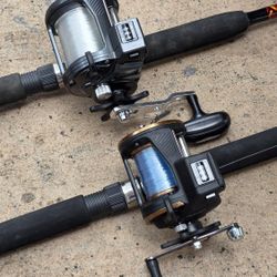 Daiwa Sealine Fishing Reels...100.00 Each