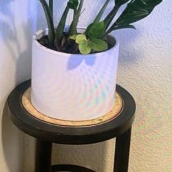 Plant Stand