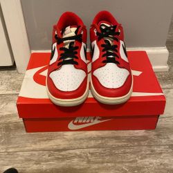 Nike Dunk Low Retro PRM