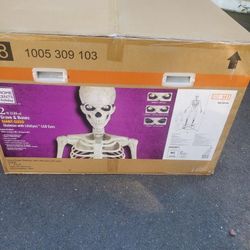 12 Ft Skeleton With Life eyes LCD Brand New!!