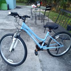 Roadmaster Cruiser Bike
