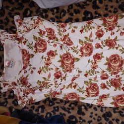 Girls Dress Size 12