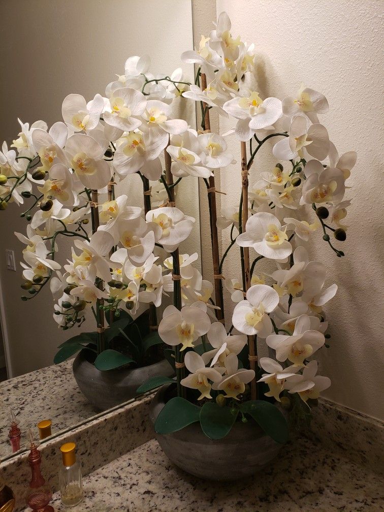 BEAUTIFUL  HUGE ORQUID ARRANGEMENT!!!