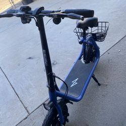 Electric Scooter 