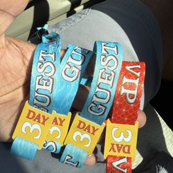 SummerSmash 2025 SUNDAY PORTION GUEST,GA, OR VIP WRISTBANDS $250 Each 