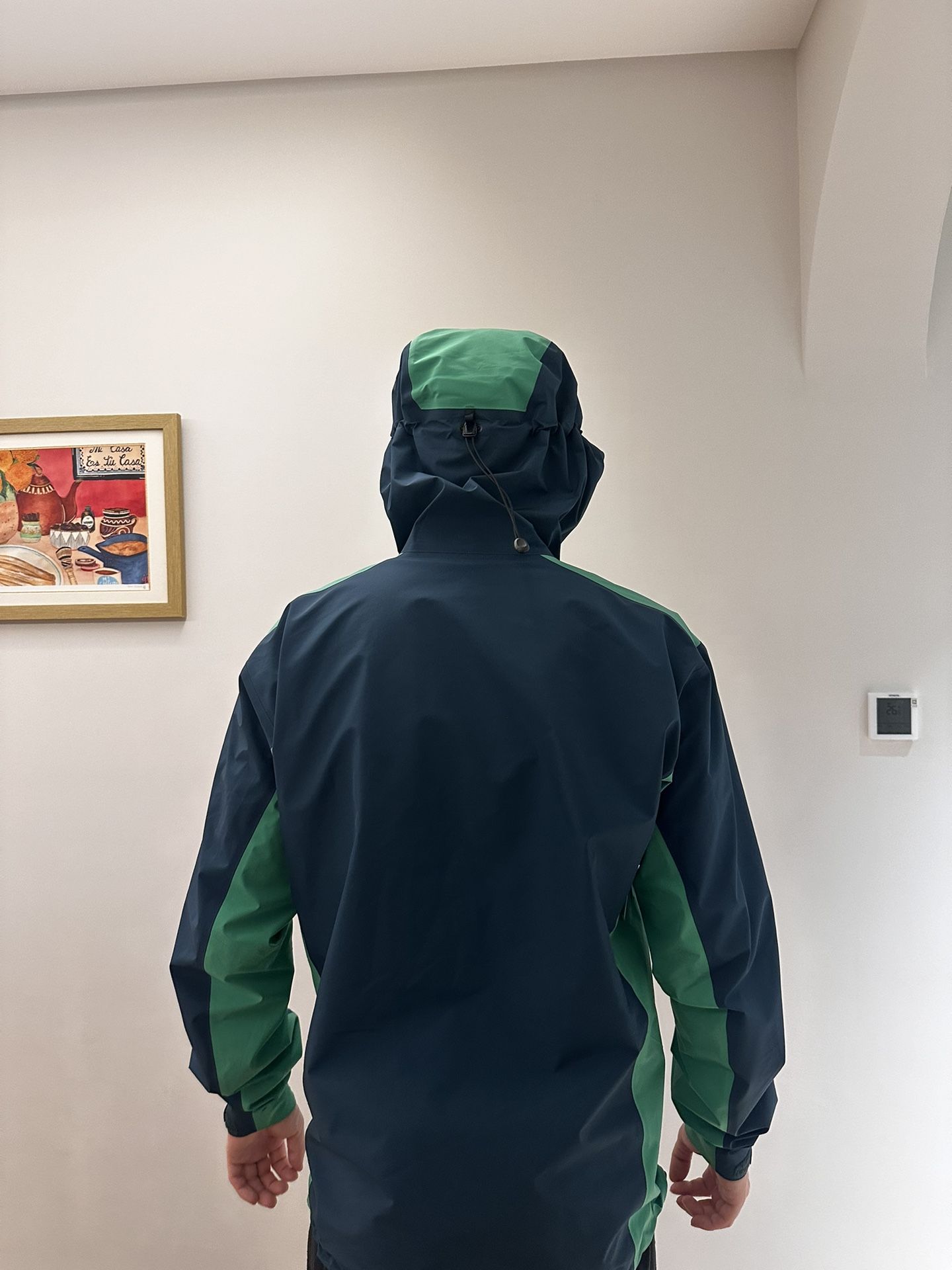 Arc’teryx Beta LT Jacket