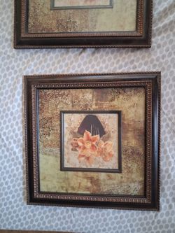 Frame pics