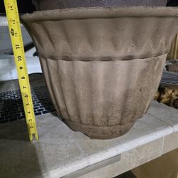 Concrete Pot