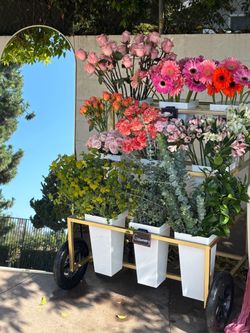 Bloom bar
