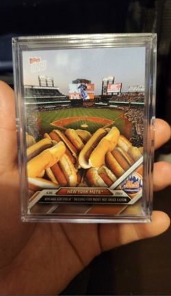Citi Field Hot Dog Record New York Mets 